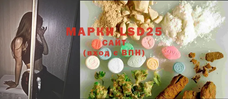 даркнет наркотические препараты  Светлоград  LSD-25 экстази ecstasy 